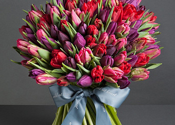 101 фиолетово-красный тюльпан